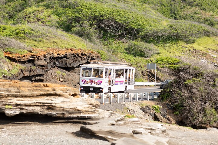 Waikiki Trolley Ocean View Blue Line - Photo 1 of 22